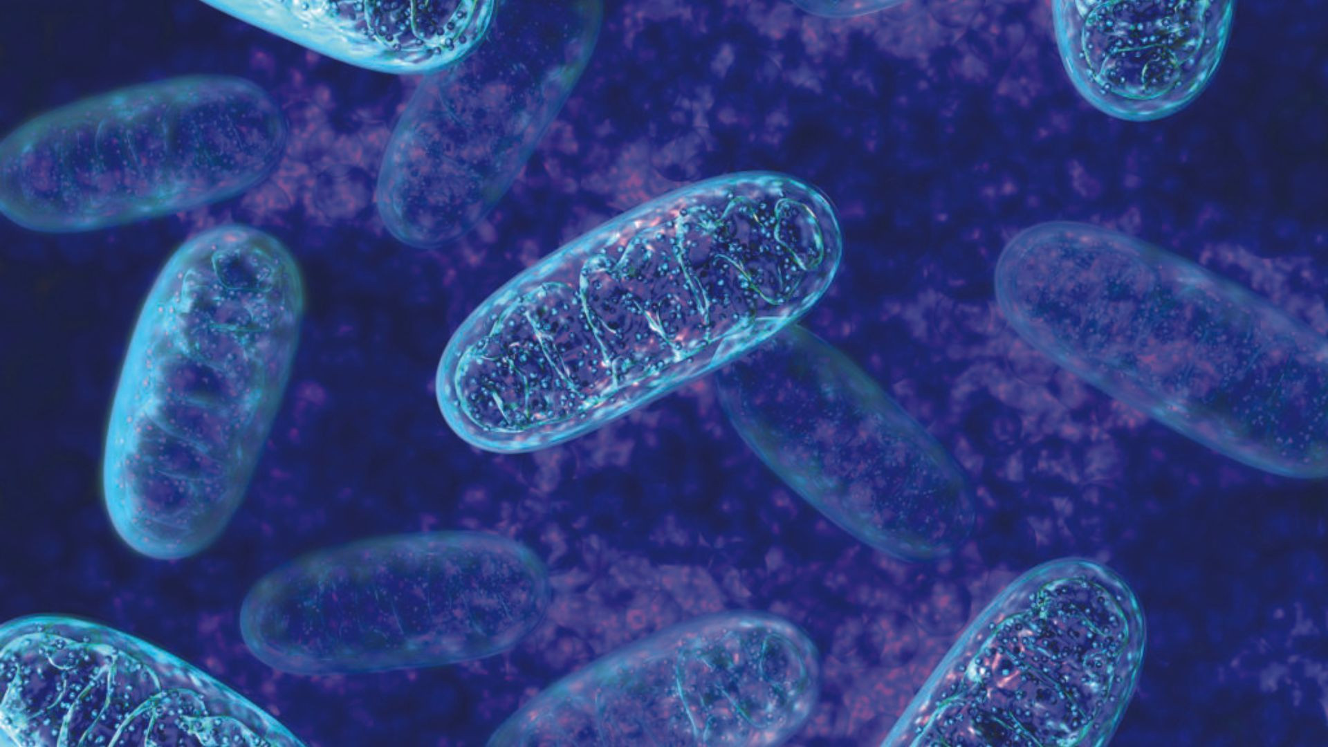 Optimising Mitochondrial Function And Energy with Dr Parneet Pal