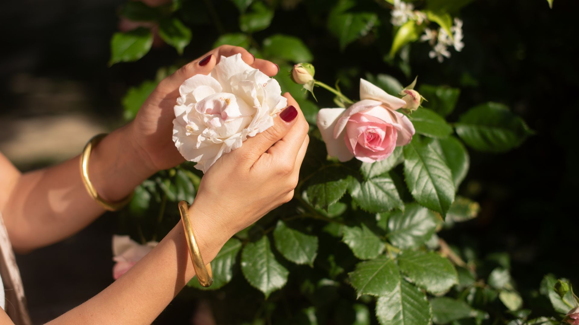 Self Exploration with Ludivine Rose